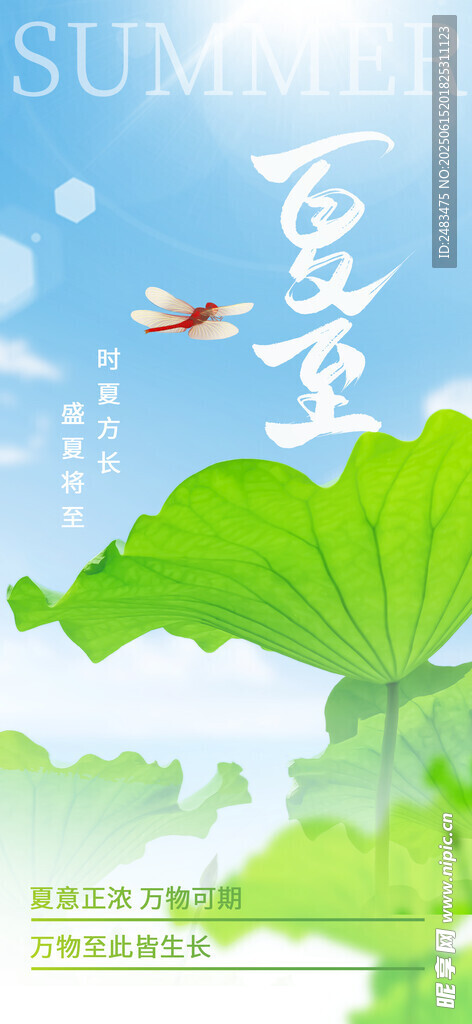 夏至