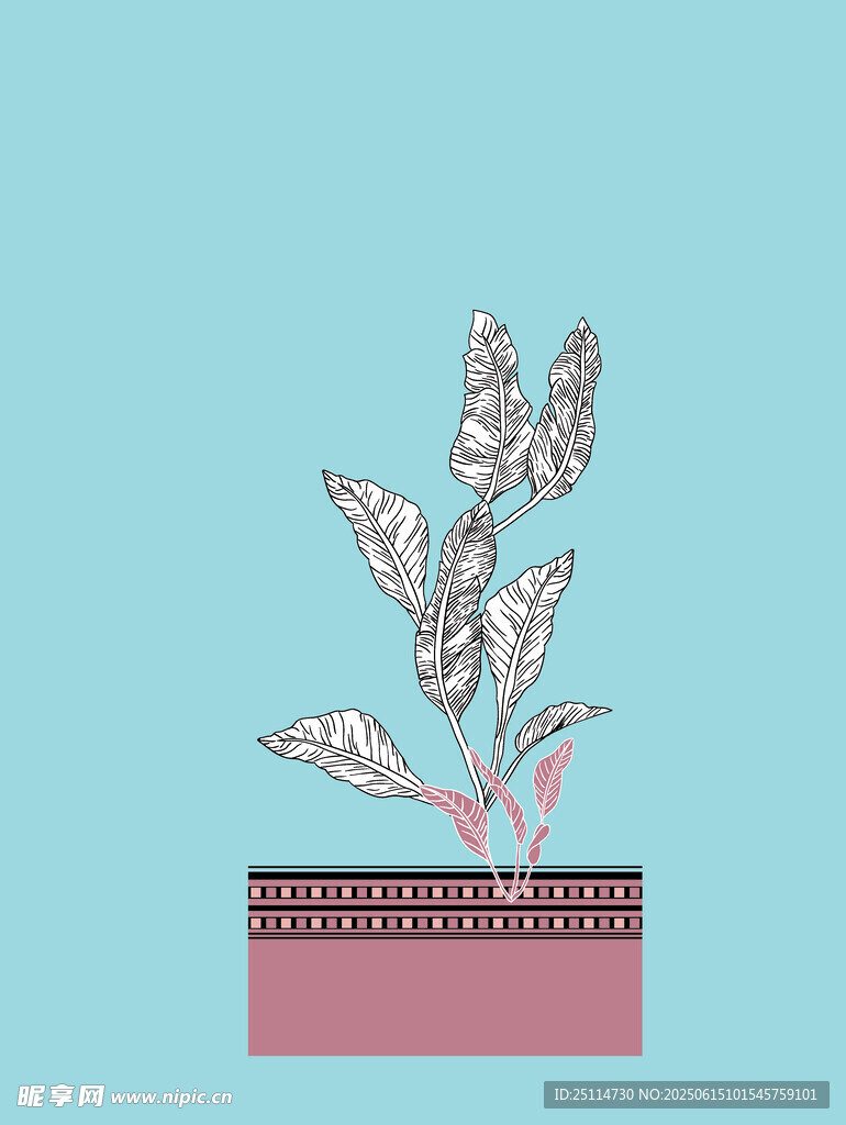 植物根系结构示意图