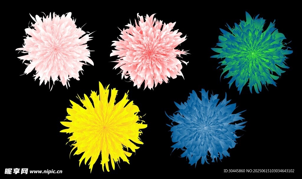 花卉菊花矢量图