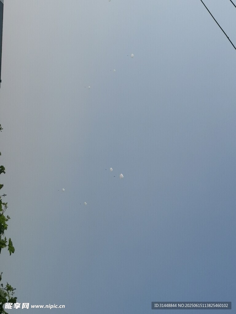 蓝天绿树间的晴朗景象