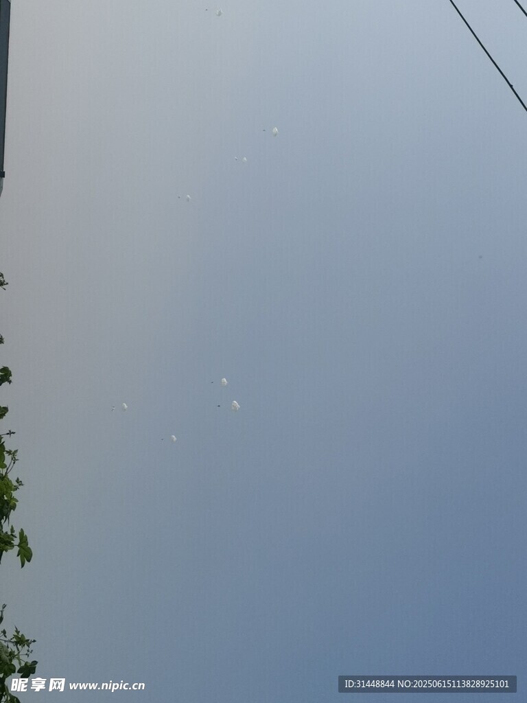 蓝天绿树景象