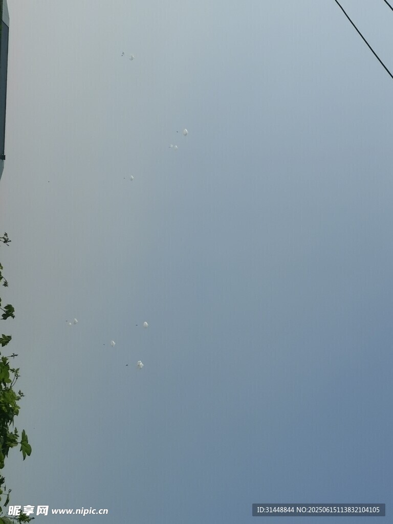 蓝天绿树景象