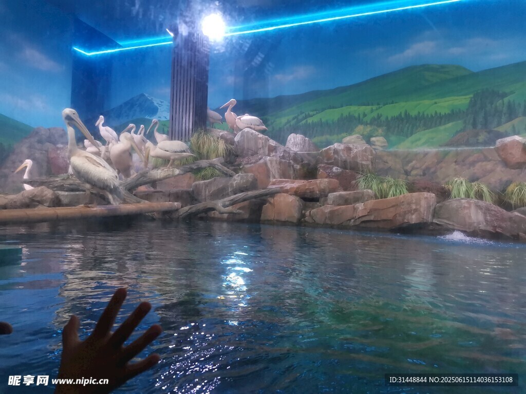 梦幻水下景观与灯光秀