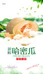 新鲜哈密瓜