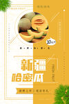 新鲜哈密瓜