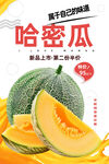 哈密瓜