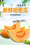 哈密瓜