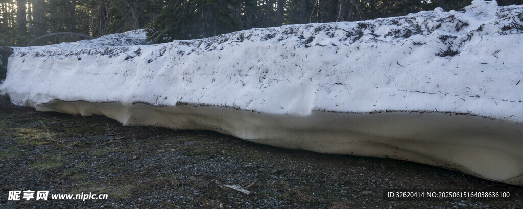 路边积雪景象