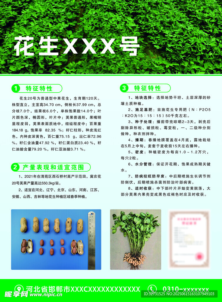 彩页