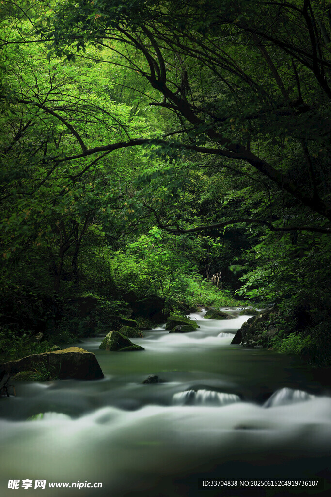 林间溪流绿意盎然的自然景