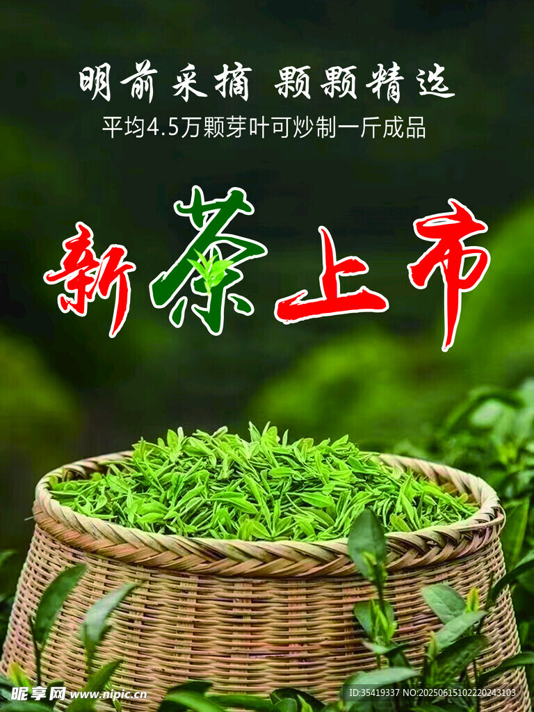 新茶上市   鲜嫩茶叶待品尝