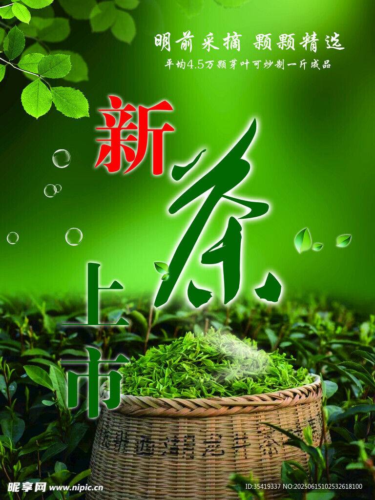 新茶上市   开启春日茶香之旅