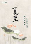夏至时节荷花绽放