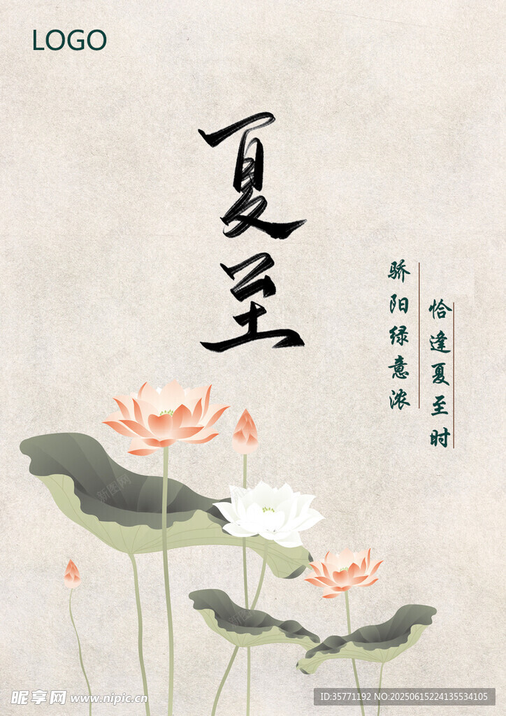 夏至时节荷花绽放