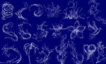 水波水花水纹