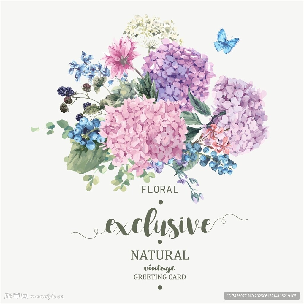 水彩花卉插画自然之美