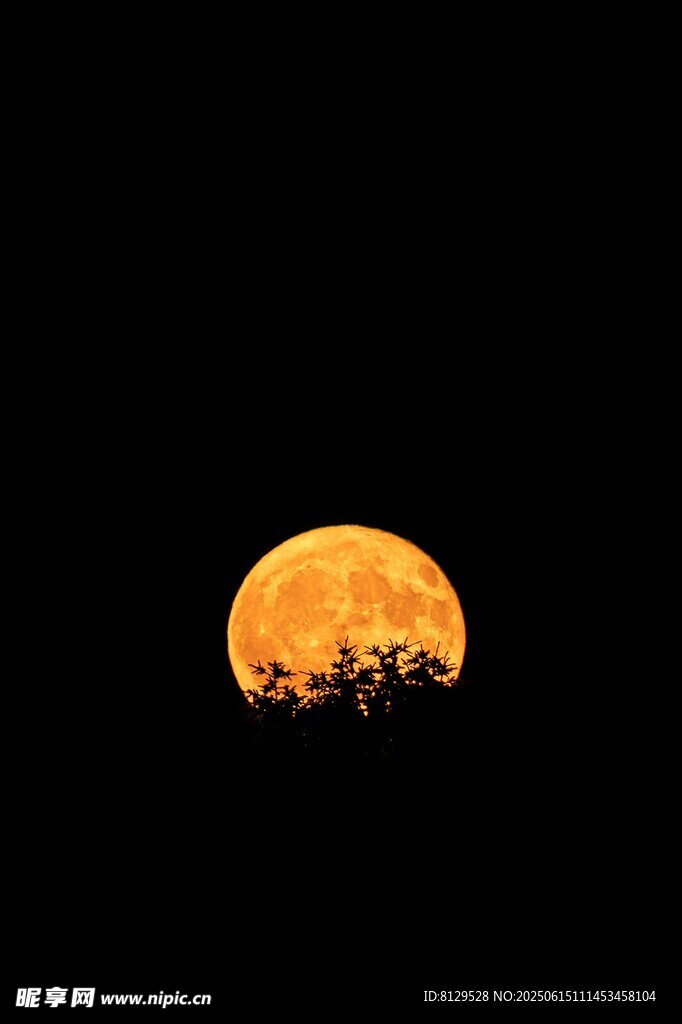 夜幕中升起的金黄圆月