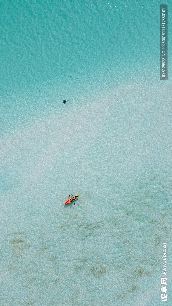 清澈海水中的漂浮物