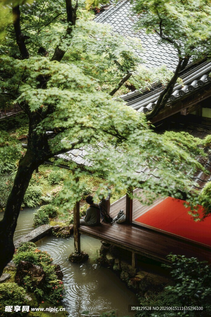 日式庭院中的清幽景致