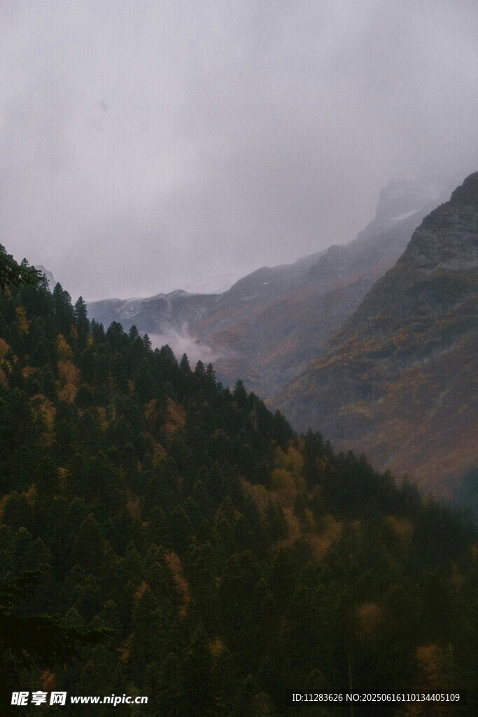 云雾缭绕的山林美景