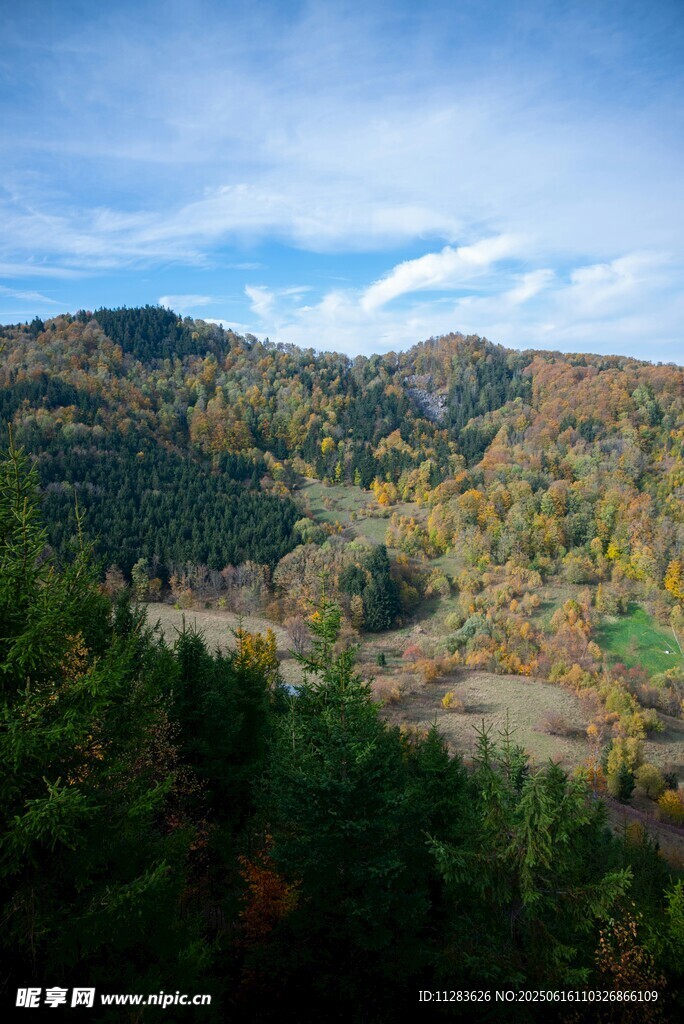秋日山林美景