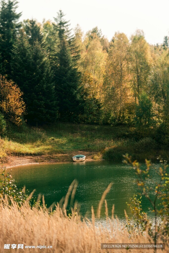 秋日湖畔森林美景