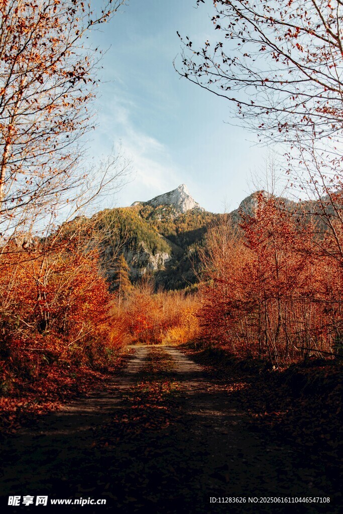 秋日山林美景