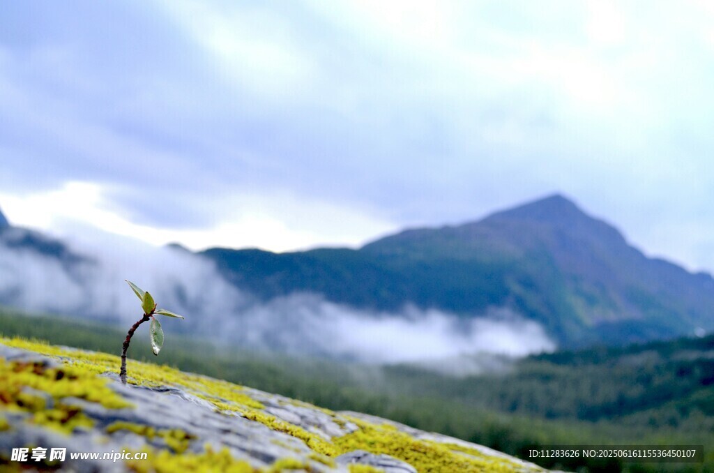 山间美景