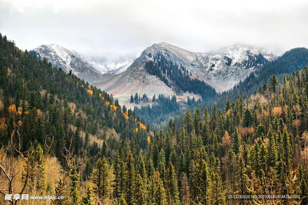 秋日山林与远处雪山美景