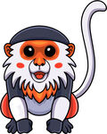 可爱卡通猴子形象