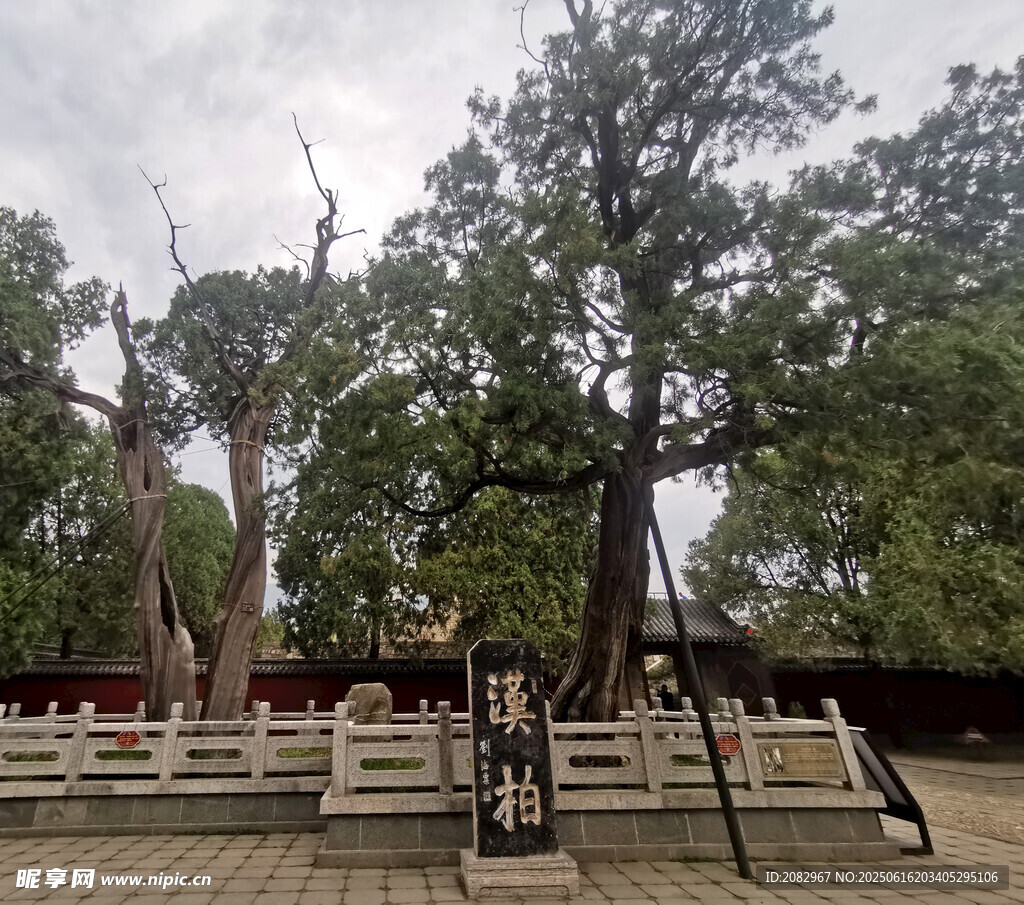 泰山风光