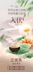 入伏