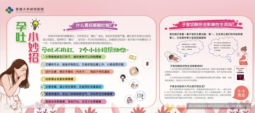 女性健康知识宣传页展示