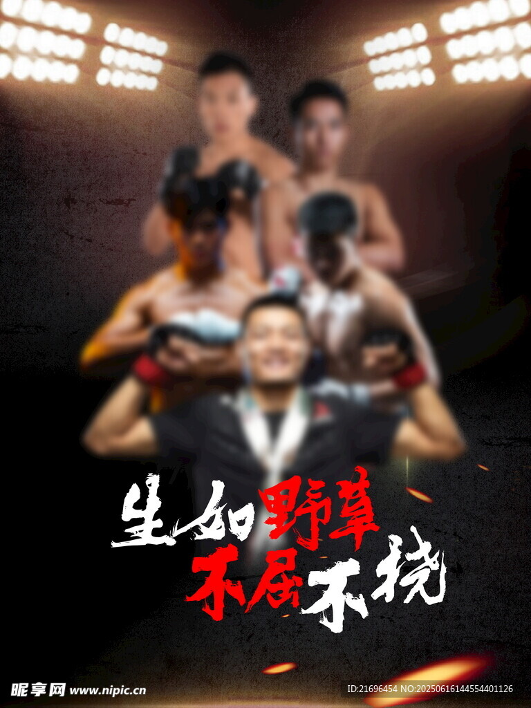 热血搏击团队风采