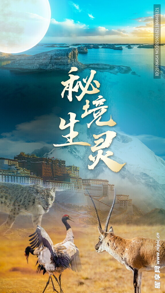 神秘湿地生灵共舞