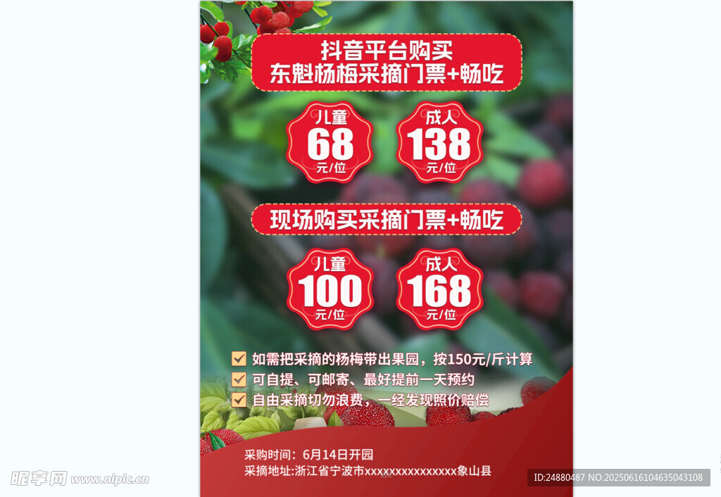 杨梅采摘海报