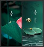 夏至
