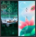 节气 夏至