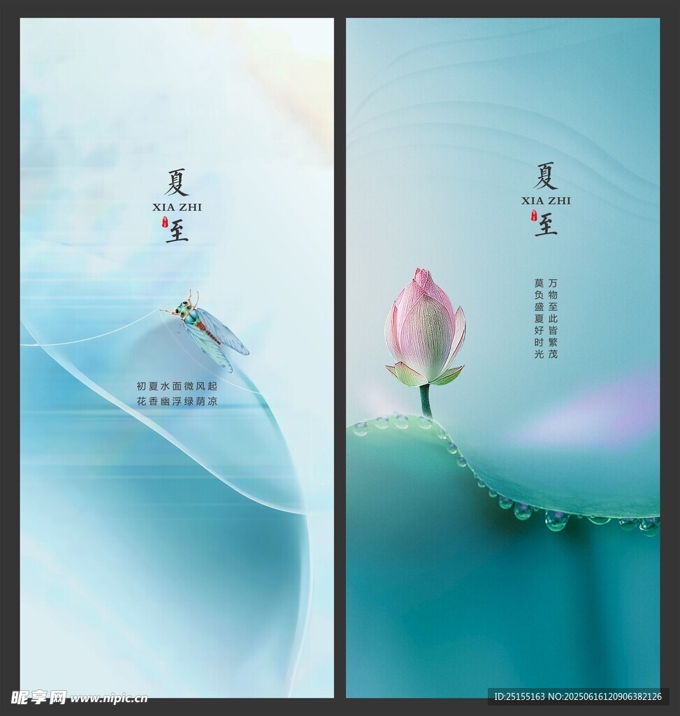 夏至 荷花