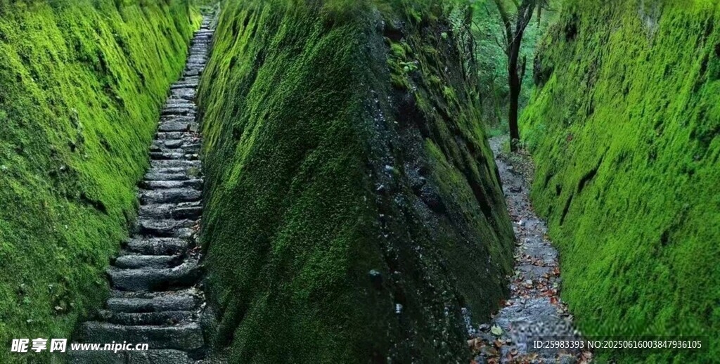山间石阶小径