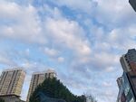 城市上空的蓝天白云景观