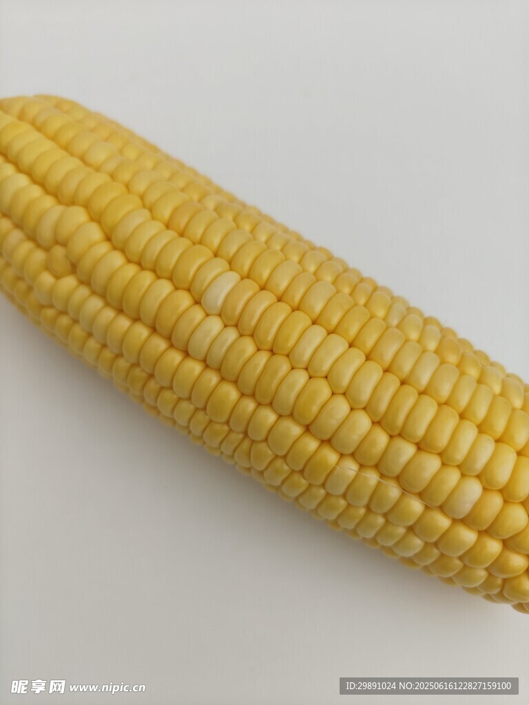 玉米