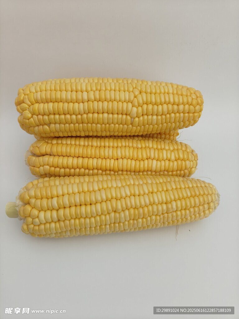 玉米