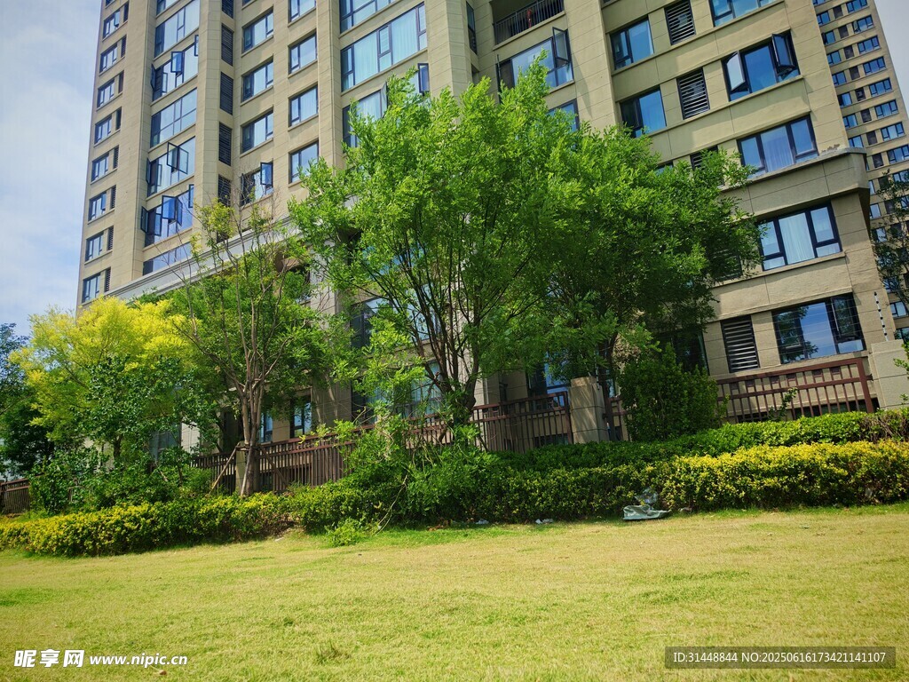 高层住宅旁的绿植景观