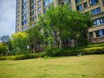 高层住宅旁的绿意景观