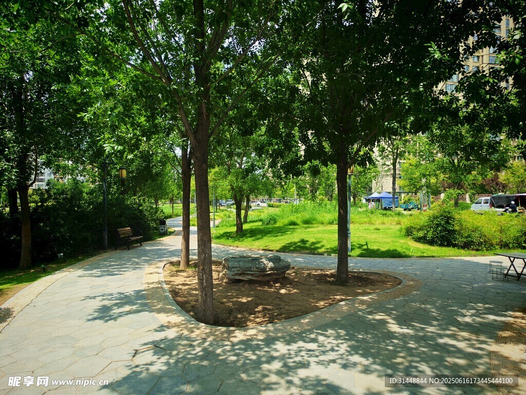 公园绿荫下的宁静小径