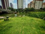 城市河畔绿地景观