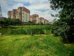城市绿地旁的高层住宅
