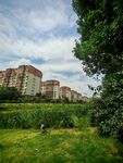 城郊绿地旁的居民楼景观