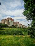 城郊绿地旁的高层住宅区